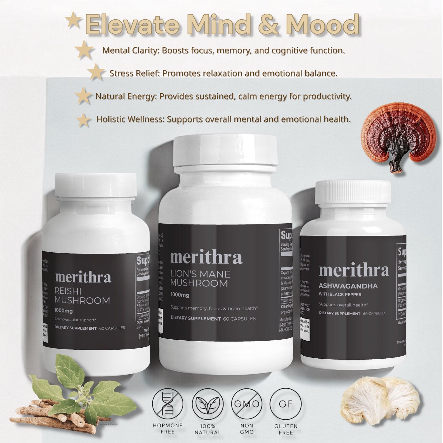 Elevate Mind & Mood Bundle